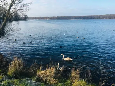 Naturlandschaft in der Nähe der Ferienwohnung
