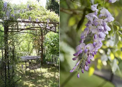 Ein Garten an der Unterkunft Fahrradpension-Joachimsthal