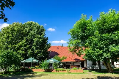 Ein Garten an der Unterkunft Hotel & Restaurant Lindengarten