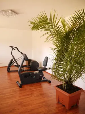 Das Fitnesscenter und/oder die Fitnesseinrichtungen in der Unterkunft Hotel & Restaurant Lindengarten
