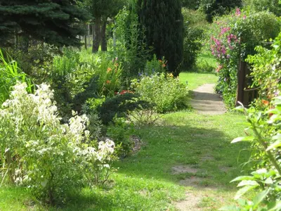 Ein Garten an der Unterkunft Ferienwohnung in der Fahrradpension Joachimsthal