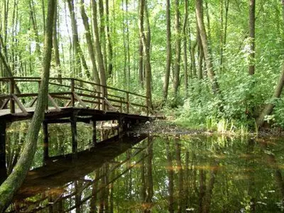 Naturlandschaft in der Nähe des Hotels