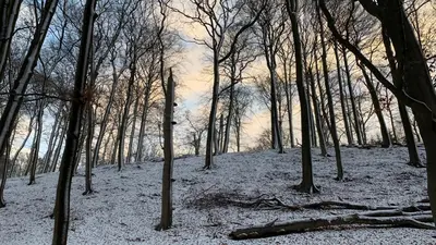 Ruhiges Ferienhaus Wandlitz im Winter