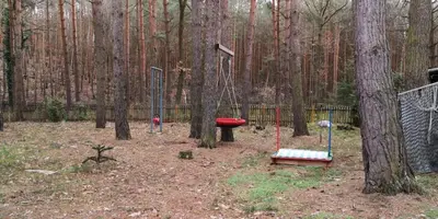 Ein Garten an der Unterkunft Ferienhaus Waldhütte Ferch
