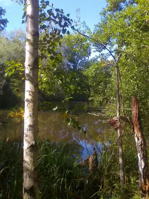 Naturlandschaft in der Nähe der Ferienwohnung