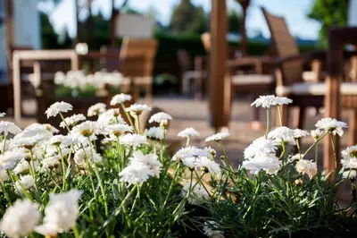 Ein Garten an der Unterkunft Hotel Barnimer Hof
