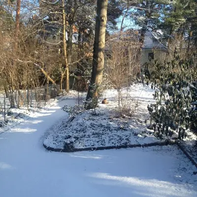 Hotel Landhaus Schlachtensee im Winter