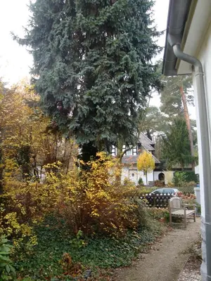 Ein Garten an der Unterkunft Hotel Landhaus Schlachtensee
