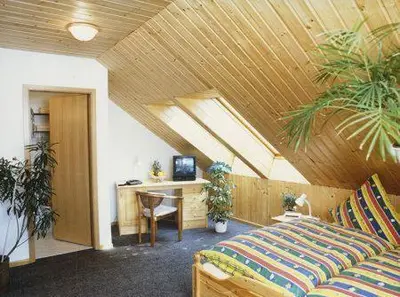 TV/Unterhaltungsangebot in der Unterkunft Gasthof Bergquelle