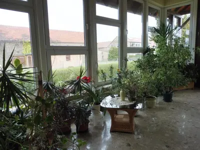Ein Garten an der Unterkunft Ferienanlage direkt am Beetzsee