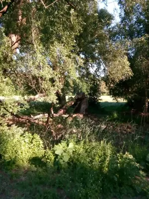 Naturlandschaft in der Nähe der Ferienwohnung