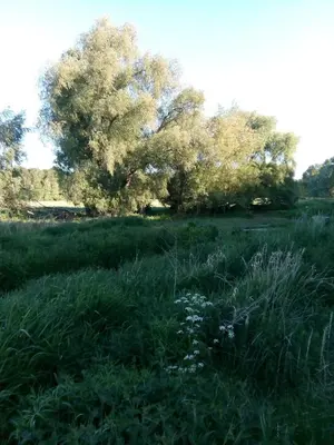 Naturlandschaft in der Nähe der Ferienwohnung