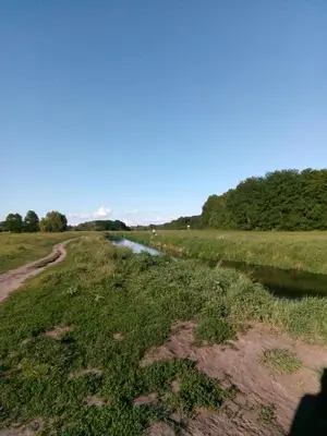 Naturlandschaft in der Nähe der Ferienwohnung