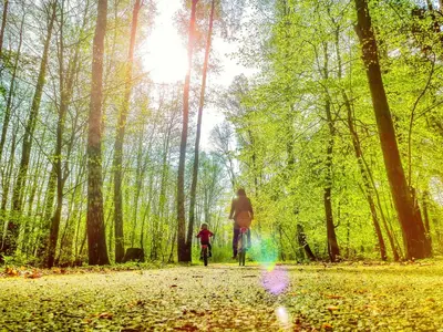 Gäste, die in der Unterkunft Bungis - 28 Ferienhäuser Am Grimnitzsee G5 übernachten