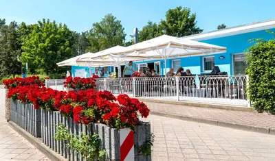 Ein Restaurant oder anderes Speiselokal in der Unterkunft Bungis - 28 Ferienhäuser Am Grimnitzsee G3
