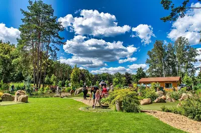 Ein Garten an der Unterkunft Bungis - 28 Ferienhäuser Am Grimnitzsee G4