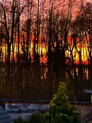 Blick auf den Sonnenuntergang/Sonnenaufgang von der Ferienwohnung aus oder aus der Nähe