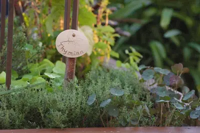 Ein Garten an der Unterkunft Hotel & Restaurant Bergschlösschen