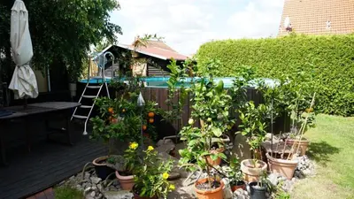 Ein Garten an der Unterkunft Pension Limone Ferienwohnung 2