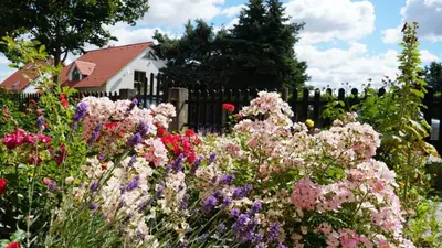 Ein Garten an der Unterkunft Pension Limone Ferienwohnung 2