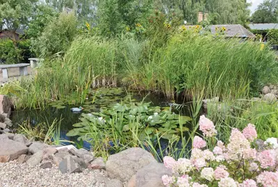 Ein Garten an der Unterkunft Maisonetten Apartment