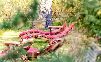 Ein Garten an der Unterkunft Hotel am Katharinenholz