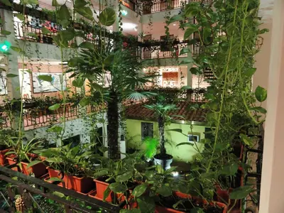 Ein Garten an der Unterkunft Solitaire Hotel