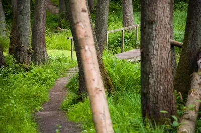 Naturlandschaft in der Nähe des Hotels