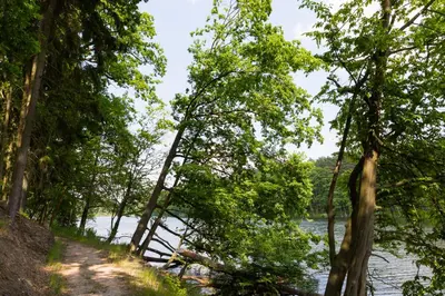 Naturlandschaft in der Nähe des Hotels