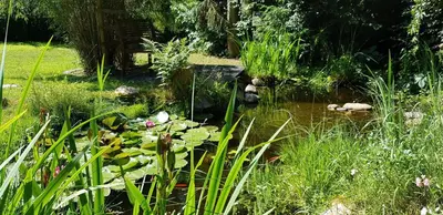 Ein Garten an der Unterkunft Ferienhaus Fichtenwalde, 160qm, 3SZ, 2BD, Küche, VDSL