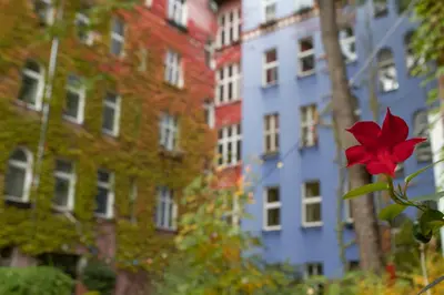 Ein Garten an der Unterkunft ArtHotel Connection