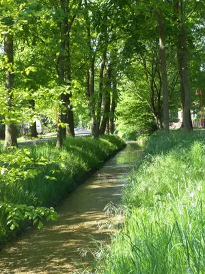 Naturlandschaft in der Nähe des Hotels