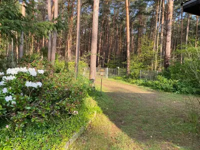 Ein Garten an der Unterkunft Ferienhaus im Wald