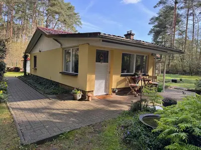 Ein Garten an der Unterkunft Ferienhaus im Wald