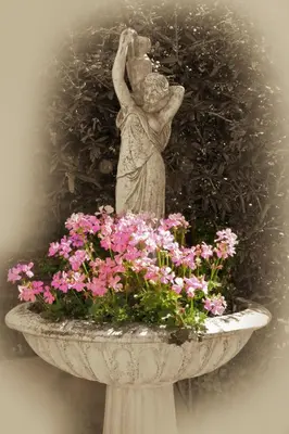 Ein Garten an der Unterkunft Hotel Brandenburger Hof