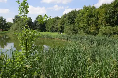 Naturlandschaft in der Nähe des Hotels