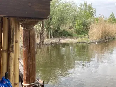 Blick auf einen Fluss in der Nähe des Bootes