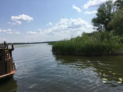 Naturlandschaft in der Nähe des Bootes
