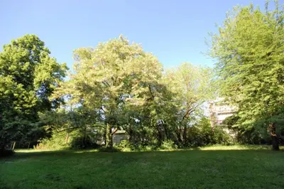 Ein Garten an der Unterkunft Apartment East Side