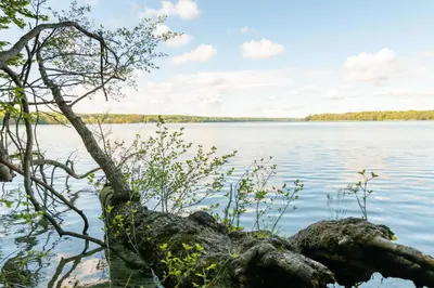 Naturlandschaft in der Nähe des Hotels
