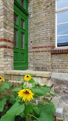 Ein Garten an der Unterkunft FeWo 