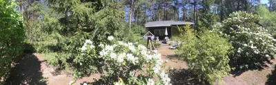 Naturlandschaft in der Nähe des Ferienhauses