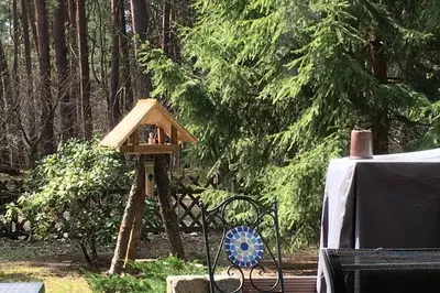 Ein Garten an der Unterkunft Ferienhaus Wald und Seeidylle, nahe Badesee, Spreewald, Berlin