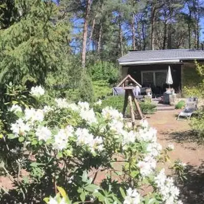 Ferienhaus Wald und Seeidylle