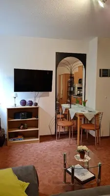 TV/Unterhaltungsangebot in der Unterkunft Apartment Blütenstadt Werder im Souterraine