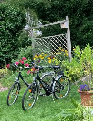 Ein Garten an der Unterkunft Ferienhaus Green Garden Berlin - Welcome to Berlin
