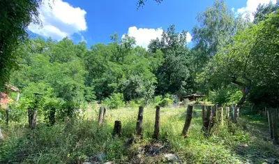 Naturlandschaft in der Nähe des Ferienhauses