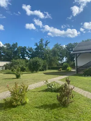 Ein Garten an der Unterkunft Haus zur Sonne