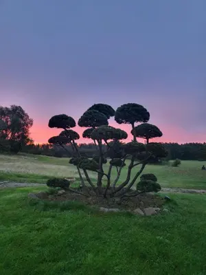 Blick auf den Sonnenuntergang/Sonnenaufgang von der Pension aus oder aus der Nähe