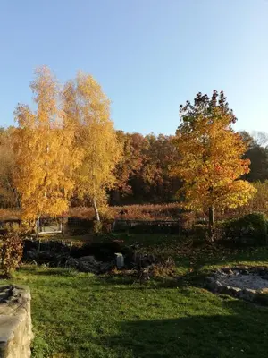 Naturlandschaft in der Nähe der Ferienwohnung